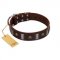 "War Chief" FDT Artisan Genuine Brown Leather Labrador Collar with Skulls and Plates