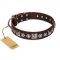 "Pierian spring" FDT Artisan Brown Leather Labrador Collar with Silvery Decorations