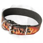 Designer "Flame" Handpainted Leather Collar For Labrador