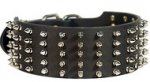 Wide high-grade leather Labrador collar with 5 rows of nickel spikes