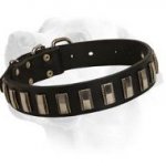Soft Leather Labrador Collar with Nickel Plates
