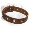 Studded Black Leather Dog Collar for Labrador
