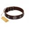 "Flashy Woof" FDT Artisan Brown Leather Labrador Collar with Chrome Plated Brooches