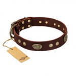 "Old-fashioned Glamor" FDT Artisan Brown Leather Labrador Collar with Old Bronze Look Plates and Circles