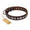 "Step and Sparkle" FDT Artisan Glamorous Studded Brown Leather Labrador Collar