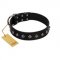 "Immense Power" Handcrafted FDT Artisan Black Leather Labrador Collar with Small Dotted Pyramids