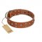 "Enchanted Skulls" FDT Artisan Tan Leather Labrador Collar with Chrome Plated Skulls
