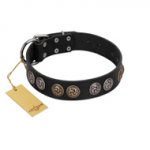 "Mister Exclusive" Designer FDT Artisan Black Leather Labrador Collar with Medallions