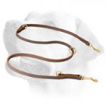 Leather Labrador Leash For Walking And Training