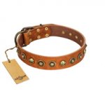 "Prez of the Pack" FDT Artisan Tan Leather Labrador Collar with Skulls and Brooches