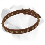 Exclusive Dog Leather Collar For Handling Large Labradors