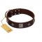"Cold Star" Designer FDT Artisan Brown Leather Labrador Collar with Silver-Like Adornments