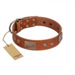 "Great Obelisk" Handcrafted FDT Artisan Tan Leather Labrador Collar with Large Plates and Pyramids