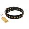 "Reckless Mutt" FDT Artisan Black Leather Labrador Collar with Skulls and Brooches