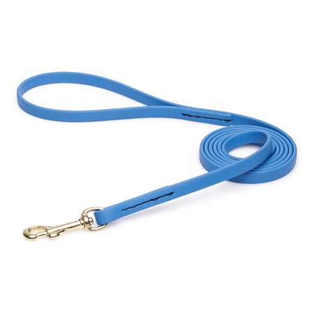 Amazing Blue Biothane Labrador Leash for Walking, Tracking