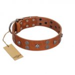 "Road Rider" FDT Artisan Tan Leather Labrador Collar with Old Silver-like Skulls and Medallions