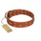 "Tawny Beauty" FDT Artisan Tan Leather Labrador Collar Adorned with Stars and Tiny Squares