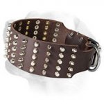 3 inch Spiked and Studded Leather Collar for Labrador
