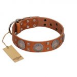 "Sun Rise Noon" FDT Artisan Tan Leather Labrador Collar with Unique Design
