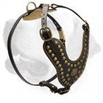 Decorative Leather Harness For Labrador With Brass Studs