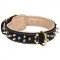 Awesome Brass Spikes Leather Collar With Fur Protector For Labrador