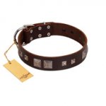 "Object of Virtu" FDT Artisan Brown Leather Labrador Collar with Old Silver-like Square Studs and Pyramids