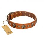 "Call of Feat" FDT Artisan Tan Leather Labrador Collar with Old Bronze-like Studs and Oval Brooches