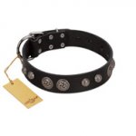 "Tricky Ricky" FDT Artisan Black Leather Labrador Collar Adorned with Silver-Like Conchos