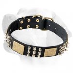 Labrador Leather Collar With Bright and Intricate Decoration
