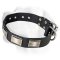 Labrador Luxurious Leather Collar Decorated With Carved Plates