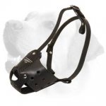Lightweight Leather Muzzle for Labrador