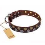 "Strong Shields" FDT Artisan leather Labrador collar with stylish decorations