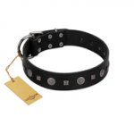 "Mr. Elegance" Designer FDT Artisan Black Leather Labrador Collar with Silver-Like Studs