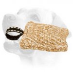 Jute Labrador Bite Tug For Puppy Training