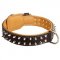 Labrador Leather Dog Collar with 2 Rows of Spikes