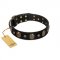Pirate's Spell' FDT Artisan Black Leather Labrador Collar with Engraved Studs and Medallions