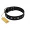 "Mr. Elegance" Designer FDT Artisan Black Leather Labrador Collar with Silver-Like Studs