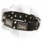 Superb Leather Labrador Collar both for Walking and Training