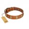 "Venus Breath" FDT Artisan Tan Leather Labrador Collar with Vintage Looking Oval and Round Studs