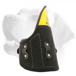 Shoulder Protector for Labrador Bite Training