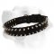 New Water Proof Nylon Labrador Collar with Fascinating Spikes