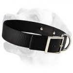 Great Identifying Dog Collar For Labrador With Name Tag