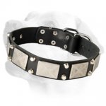 Ultra Strong Exclusive Leather Collar For Handling Large and Sturdy Labradors