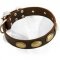Walking Leather Labrador Collar With Vintage Plates