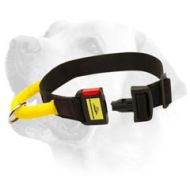 Easy Handling Nylon Collar For Labrador