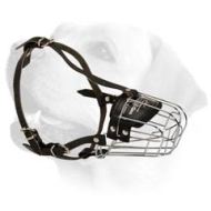 Easy Inhale Wire Cage Muzzle For Labrador