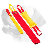 Buy Retrieve Training French Linen Labrador Bite Tugs and Get Free Training Toy
