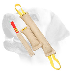 Training Jute Labrador Bite Tugs With Handles