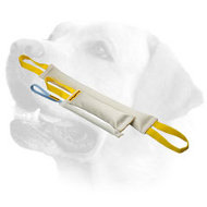 Training Fire Hose Labrador Bite Tugs Set