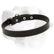 Boss Full Grain Leather Collar For Labrador